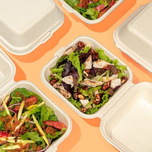 6"x 6" Clamshell Container (50 pieces per pack)